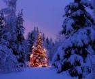 Snowy orman ışıklı Noel ağacı